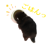 831971339