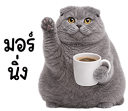 ลายที่ 1