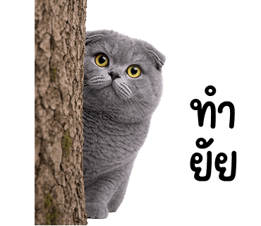 ลายที่ 2