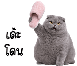 ลายที่ 7