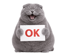 ลายที่ 17