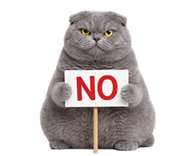 ลายที่ 19