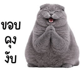 ลายที่ 21