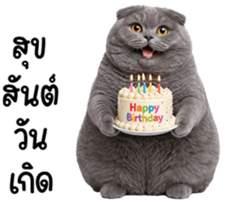 ลายที่ 25