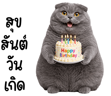 ลายที่ 13