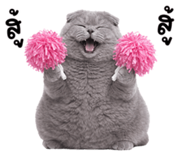 ลายที่ 27