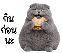 ลายที่ 35