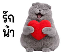 ลายที่ 37