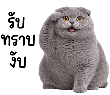 ลายที่ 21