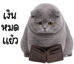 ลายที่ 59