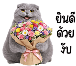 ลายที่ 61