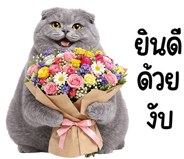ลายที่ 31