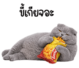 ลายที่ 63