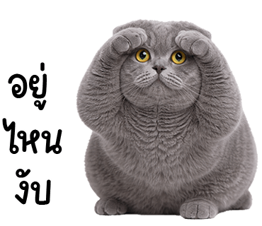 ลายที่ 33