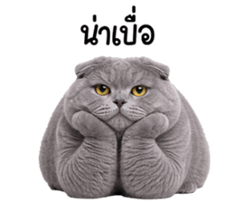 ลายที่ 69