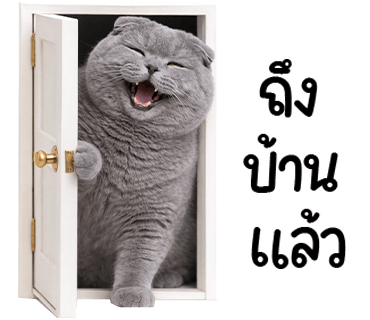 ลายที่ 37