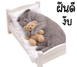 ลายที่ 79