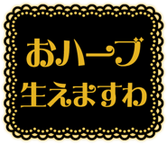 831987355