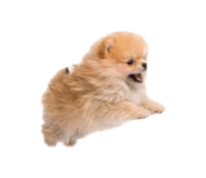 832001186