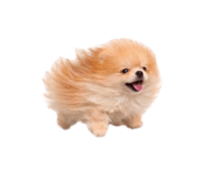 832001187
