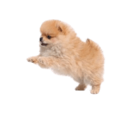 832001188