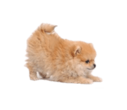 832001189