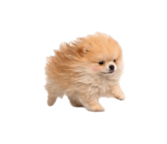 832001191