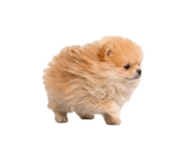 832001192