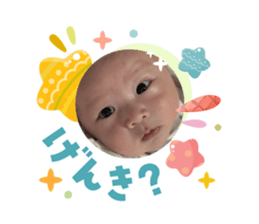832001816