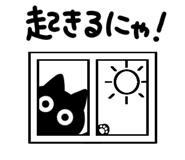 832016252