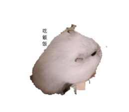 832018979