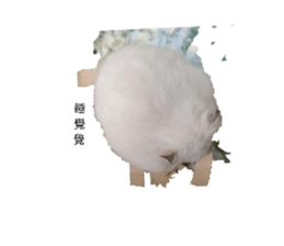 832018980