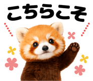 832030984