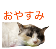832032114