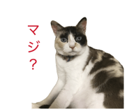 832032116