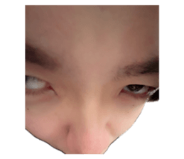 832037697