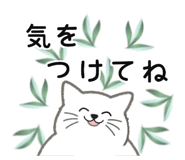 832040418