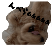 832048936