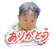 832065555