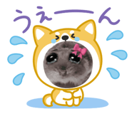 832075569