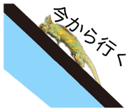 832075573