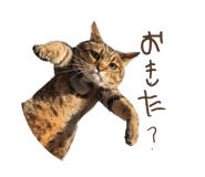 832076522