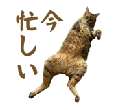 832076538