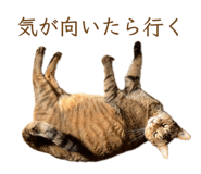 832076539