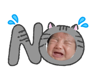 832079906