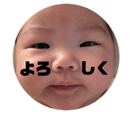 832091228