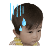 832091668