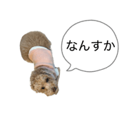 832092181