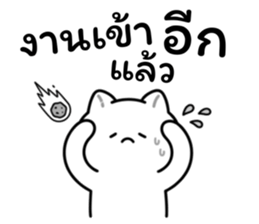 อาจจะเป็นแมวนะ (เซต.2) รูปที่ 10