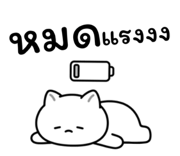 อาจจะเป็นแมวนะ (เซต.2) รูปที่ 11